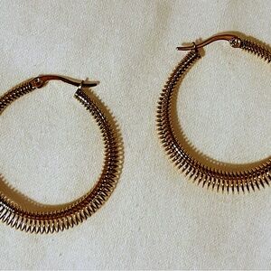 Elegant Gold Hoop Earrings